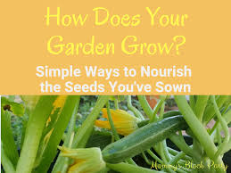How Does Your Garden Grow Simple Ways To Nourish The Seeds You Ve Sown Simple Way Nourishment Growing