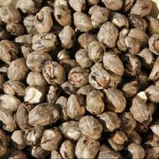 Image result for Schinziophyton rautanenii