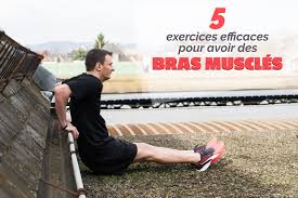 Dites adieux à vos bras mous et vos épaules raplaplas. 5 Exercices Efficaces Pour Avoir Des Bras Muscles Fizzup