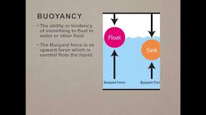 science buoyancy, floating and sinking