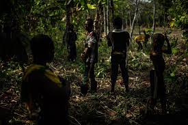 Interventions to stem hazardous child labor in the cocoa sector should target new, emerging areas the foundation represents companies handling about 80 percent of the world's cocoa supply chain. Hershey Nestle And Mars Broke Their Pledges To End Child Labor In Chocolate Production Washington Post