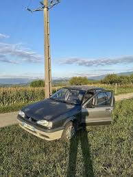 Image result for Bleu Electrique 1995 Renault