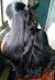 Braid Long Hair India