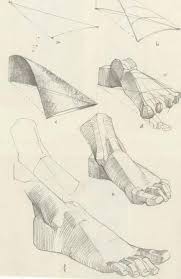320994 10200568459598145 849315492 N Jpg 433 666 Sketches Figure Drawing Anatomy Art