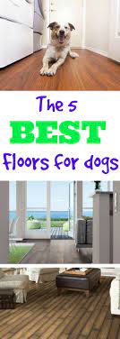 Puppy treads are manufactured to prevent slips and falls. What S The Best Flooring For Dogs Flooring Inc