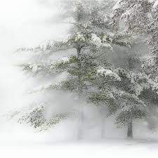 Pin On Blow Blow Thou Winter Wind