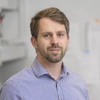 The Mary Baylies Lab: Former Lab Members