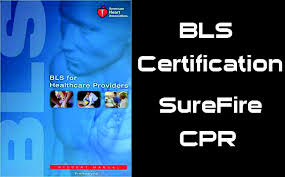 Fast, accredited, & 100% online Bls Certification Bls Certification Classes And Training