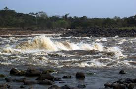 The congo river, formerly known as the zaire river under the mobutu regime, is the second longest river in africa, shorter only than the nile, as well as the second largest river in the world by discharge. Fishes In The Lower Congo River An Extreme Case Of Species Divergence And Convergent Evolution Research Outreach