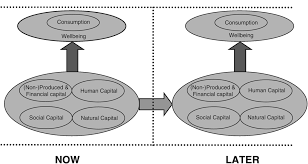 Kava or kava kava (piper methysticum: The New Strategy A Community For Well Being And Sustainability Part Ii Replacing Gdp By 2030