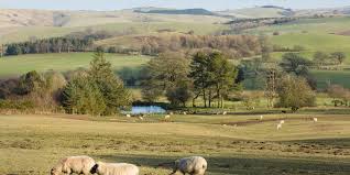 Farm & Land Sales: Opportunities for Buyers and Sellers - Roger Parry &  Partners