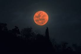 A wolf moon is simply the folk name for a moon that happens in the month of january. A Super Blood Wolf Moon Arrives On Sunday Here S How It Affects You Allure