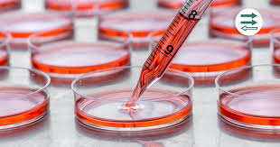 The Difference Between Hodgkin Non Hodgkin Lymphoma Ctca