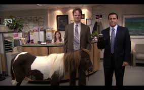 We regularly add new gif animations about and. Free Download Quotes Gay Funny The Office Dwight Schrute Quote Wallpaper Doblelol 1280x800 For Your Desktop Mobile Tablet Explore 48 The Office Quotes Wallpaper The Office Quotes Wallpaper The