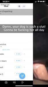 Reaction to dog porn