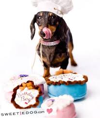 Jouet Gateau Anniversaire Birthday Boy Sweetie Dogs