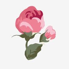 Dibujos Animados Rosas Sin Abrir Libre De Esteras Dibujo Animado Rosas Rojas Sin Tinta Dibujo Animado Rosas Rojas Png Y Vector Para Descargar Gratis Pngtre Rosa Roja Dibujo Fondos De