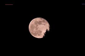 Contrairement à ce que l'on pourrait croire (et pourtant ce serait vraiment joli !) la lune n'apparaîtra pas plus rose que d'habitude ce jour. Lendemain De La Pleine Lune Rose Pleinelune Lac Pascal En Haut De Baie Comeau Quebec Canada Celestial