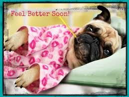 Pin By Kim Morrow On Warm Fuzzies Sick Puppies Pugs Pugs And Kisses