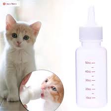Susu kucing banyak beredar di pasaran dengan berbagai merek. Jual Produk Dot Botol Susu Kucing Termurah Dan Terlengkap Juni 2021 Bukalapak