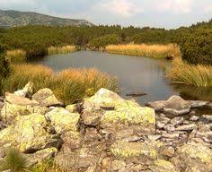 Casa este construita din caramida, are 3 camer. 25 Lotru Mountains Romania Ideas Romania Trekking Mountains