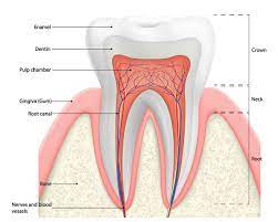 Toothache And Swelling | Healthdirect