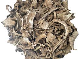 Image result for Tabernanthe elliptica