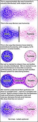 The term hermaphrodite has been used to refer to intersex people. Intersex