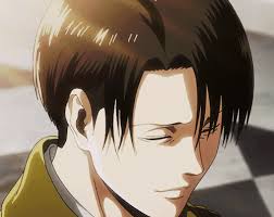 Levi Ackerman X Reader
