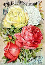 Drobisch Cottage Rose Garden 1896 Seed Art Diy Counted Cross Stitch Pattern Ebay