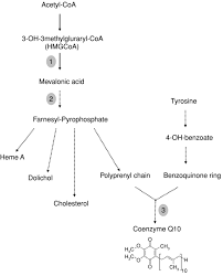 Acute idiopathic polyneuritis) · what is gbs? Autosomal Recessive Cerebellar Ataxias Chapter 20 Cerebellar Disorders