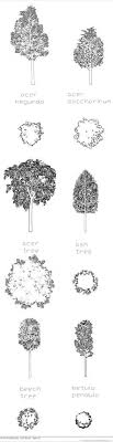 Maybe you would like to learn more about one of these? Pin On Graphic Vegetation