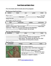 Consumer, ecosystem, equilibrium, food chain, trophic level. Food Web Cloze Worksheet