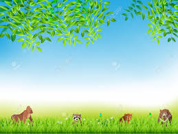 Photos of plants and animals mangrove is the name for a tree—and also for a complex ecosystem—that bridges land and sea. Bright Tropical Background With Jungle Plants Exotic Pattern With Animals Royalty Free Cliparts Vectors And Stock Illustration Image 92707989