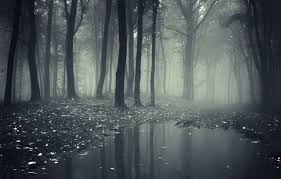 Check spelling or type a new query. Wallpaper Dark Nature Fear Images For Desktop Section Priroda Download
