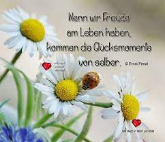 lebensweisheiten spruche weisheiten spruche nachdenkliche spruche