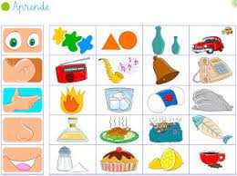 Aves y flora juegos y canciones para preescolar. Zmysly Met Afbeeldingen Thema Zintuigelijke Activiteiten Menselijk Lichaam