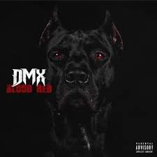 Image result for DMX