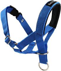 Measure your pup's neck size (neck circumference) a dog collar should be fairly tight, yet comfortable. Amazon Com Dog Head Collar Halter Blue 5 Sizes L 10 25 12 25 Snout Kitchen Dining