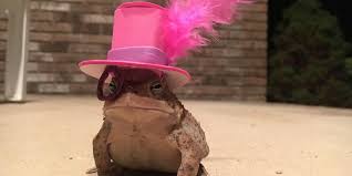 For the body of the hat cut your cloth into strips then into squares and glue one by one. An Alabama Man Makes Incredible Hats For His Little Toad Southern Living