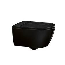 So wie es auf dem bild zu sehen ist, wird alles mit gegeben. Villeroy Boch Dusch Wc Spulrandlos Viclean I100 Directflush Wandhangend Glossy Black C V0e100s0 V0e100s0