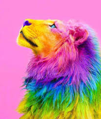 Animals Wallpaper Iphone Animals Beautiful Animals Animal Wallpaper