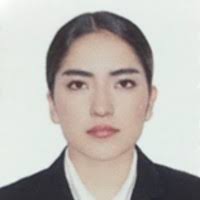 30+ perfiles de «Karen Orta»