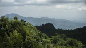 Tentang Desa