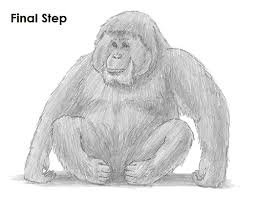 Blastp simply compares a protein query to a protein database. How To Draw An Orangutan