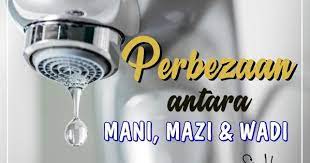 Apakah sebenarnya air mani, air mazi dan air wadi ini? Perbezaan Antara Air Mani Mazi Dan Wadi Yang Wajib Untuk Diketahui
