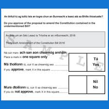 Referendum The Ballot Paper Explained