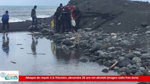 Nouvelle attaque de requin à la réunion depuis 2011, six attaques de requins, dont deux mortelles, ont été recensées à la réunion. Attaque Requin A La Reunion Youtube