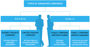 Types Of Business Entities In Singapore Rikvin