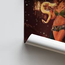 Image result for britney spears python